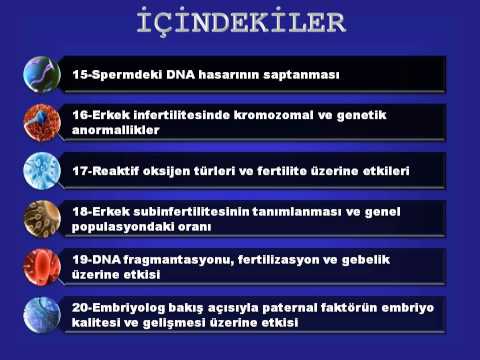 KISIRLIK TEDAVİSİ (Erkek_İnfertilitesi) - Profesör Doktor Mete KİLCİLER