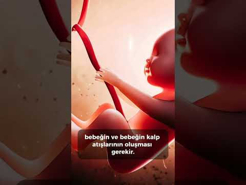 🔺️Boş gebelik