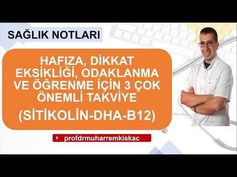 Hafıza ve dikkat eksikliği için 3 önemli takviye (Sitikolin, DHA, B12)