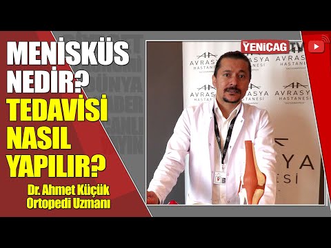 Menisküs nedir?