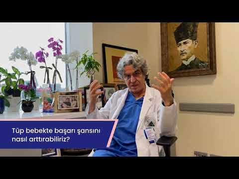 Tüp Bebekte Başarı Şansını Nasıl Arttırabiliriz?