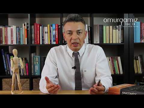 Skolyoz türleri nelerdir? Doç. Dr. Zafer Orkun Toktaş