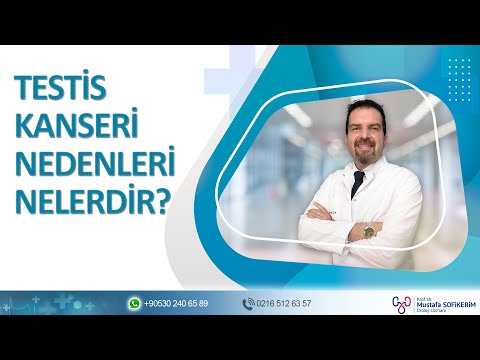 Testis Kanseri Nedenleri Nelerdir?
