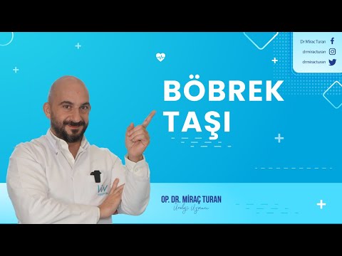 Dr. Miraç Turan - Böbrek Taşı Hastalıkları
