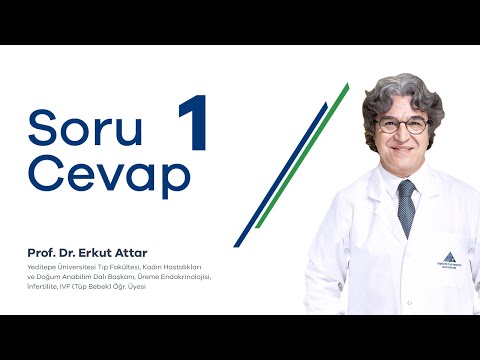 Doktorattar Soru-Cevap