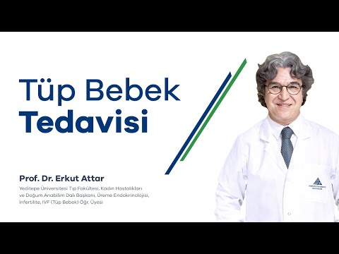 Tüp Bebek Tedavisi