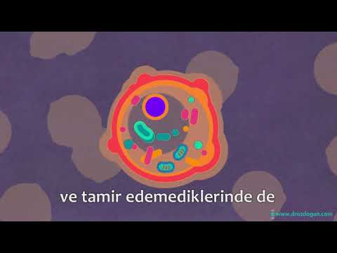Prostat kanseri nedir? Belirtileri nelerdir? TEDAVİSİNDE SON GELİŞMELER