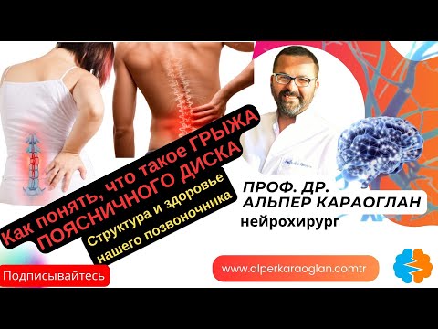 Как понять, что такое ГРЫЖА ПОЯСНИЧНОГО ДИСКА / Структура позвоночника | проф. Др. Альпер КАРАОГЛАН